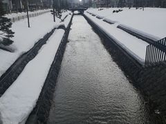 -札幌二条市场 大矶(本店)