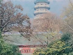 -灵谷景区