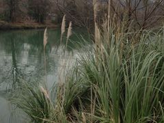 -贵阳市花溪国家城市湿地公园