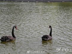 -山东理工大学