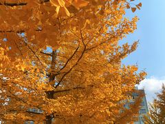 -辽东学院(南校区)