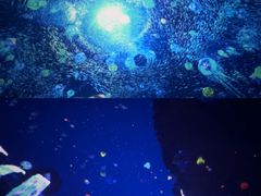 -南戴河国际娱乐中心