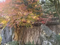 -上海方塔园