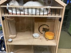 -沐沐家宠物(成寿寺店)