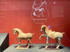 -陕西历史博物馆