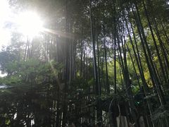 -绳金塔
