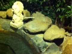 -余姚阳明温泉山庄