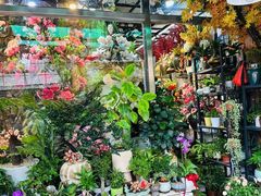 -溪岸路花鸟市场