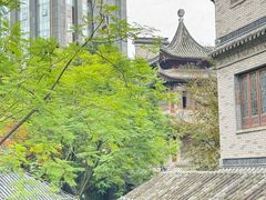 -龙潭水乡