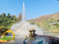 -西双版纳原始森林公园