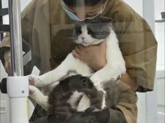 -爱洗澡的猫(天河路店)