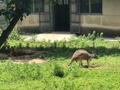 -西安秦岭野生动物园