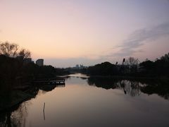 -新江湾城公园