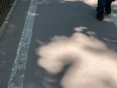 -康庄公园