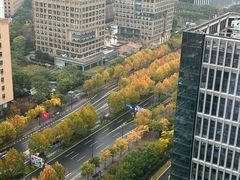 -陆家嘴世纪金融广场