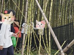 -新地休闲农场