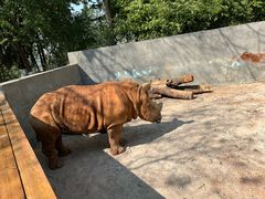 -昆明动物园