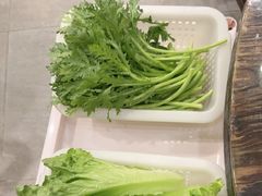 -正能量脆肉鲩火锅