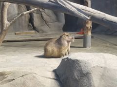 -祥源·阜阳生态乐园