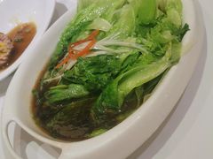 -金春禧(世茂国际广场店)