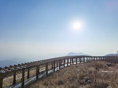 -白草畔自然风景区