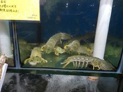 -蚝专家(北滘店)
