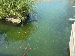 -重元寺香积厨素斋馆