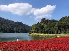 -广州市石门国家森林公园