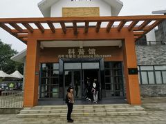 -中国扬子鳄村