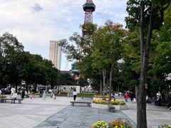 -大通公园