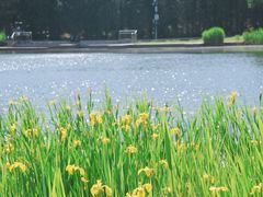 -中关村生命科学园