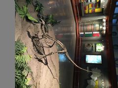 -自贡恐龙博物馆