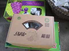 -马陆小张葡萄园农家乐