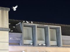 -王府井奥莱临潼小镇(临潼店)