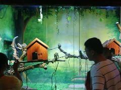 -华夏文旅海洋公园