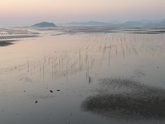 -北岐滩涂