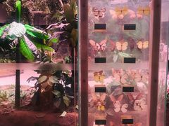 -陕西自然博物馆