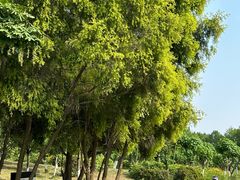 -白鹭湾湿地公园