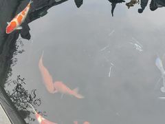 -西安市广仁寺
