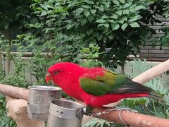 -南宫五洲植物乐园