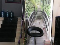 陈新彬油焖大虾-西司夜市