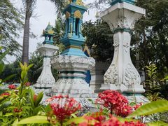 -中国科学院西双版纳热带植物园