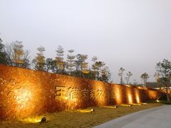 -王借岗森林公园