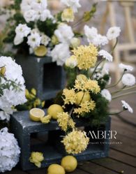 -琥珀婚礼策划AMBER WEDDING