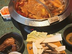 -牛New寿喜烧(金鹰世界店)