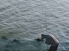 -贡湖湾湿地公园
