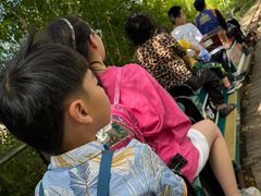 -海南槟榔谷黎苗文化旅游区