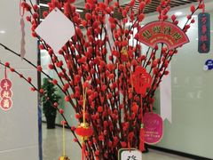 -茂菊口腔连锁(浦东南路店)