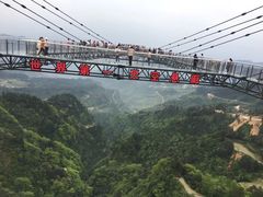 -梦幻奥陶纪景区