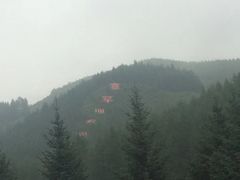 -塞罕坝国家级自然保护区